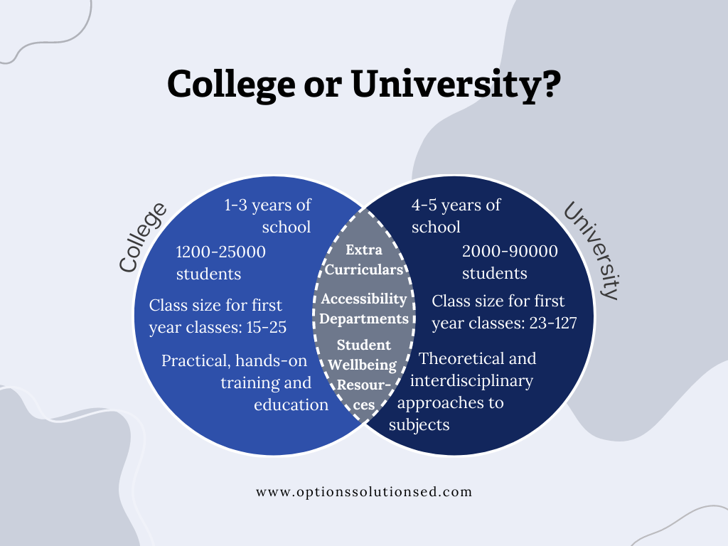 Find the Difference between College and University